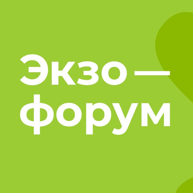 «Жучки-паучки» - антикафе с экзотариумом