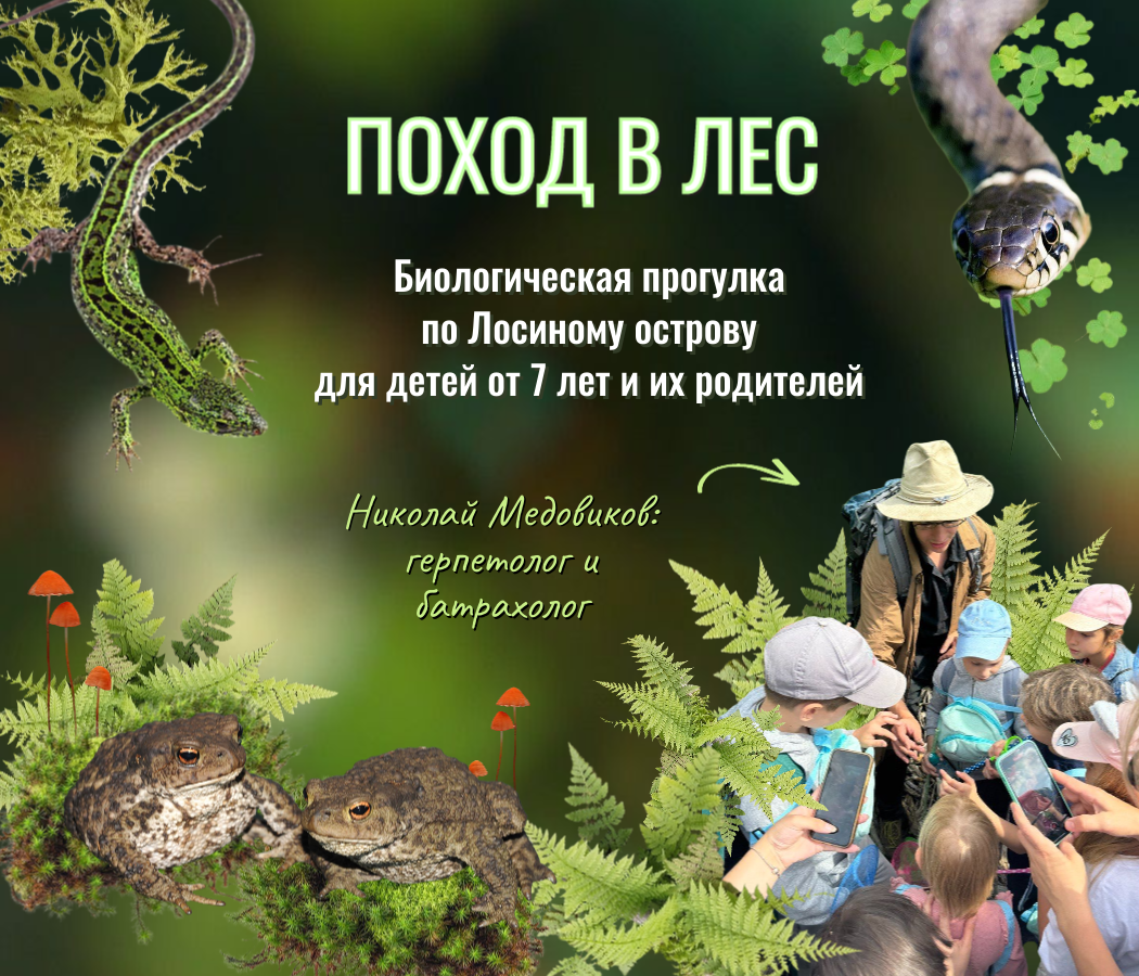 Биологическая прогулка от Жучков-паучков вместе с Николаем Медовиковым