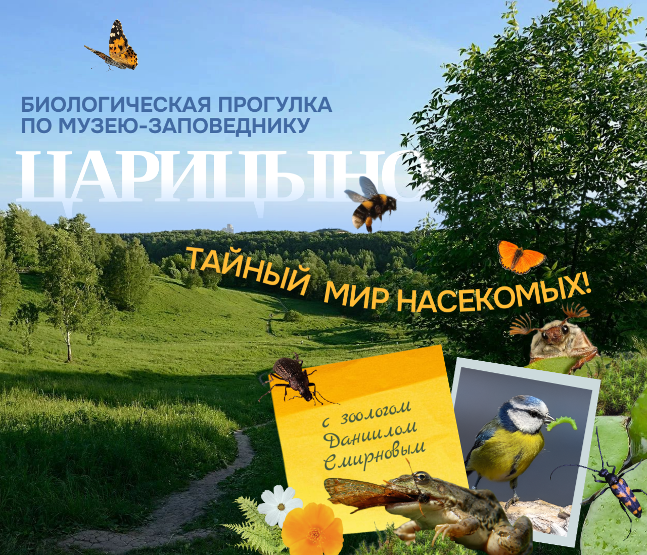 Прогулки с биологами от Жучков-паучков Тайный мир насекомых парка Царицыно с Даниилом Смирновым