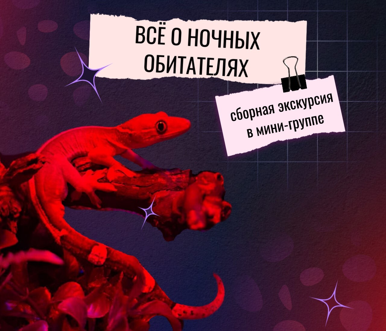 ЭКСКУРСИЯ В МИНИ-ГРУППЕ ВСЁ О НОЧНЫХ ОБИТАТЕЛЯХ 10+