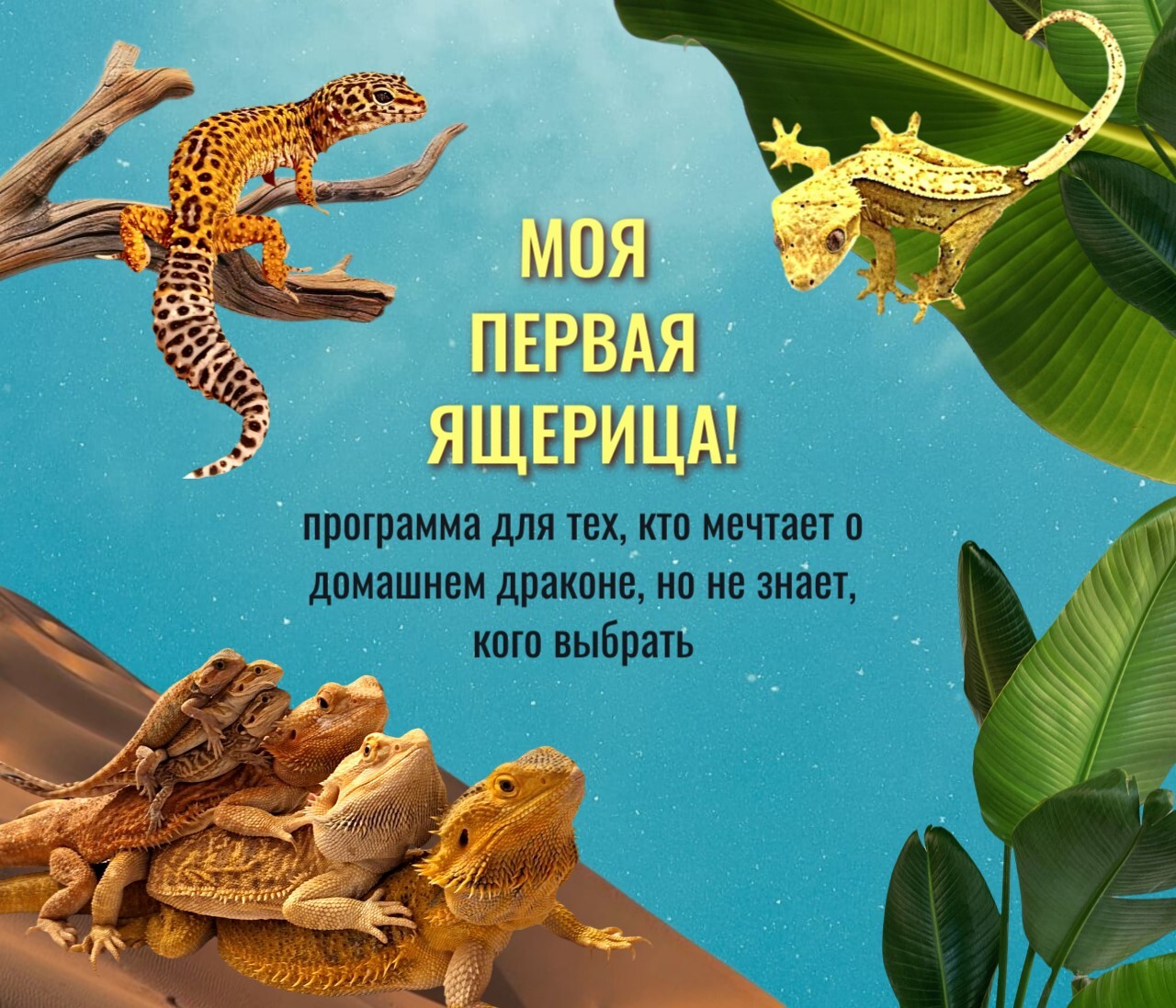 МОЯ ПЕРВАЯ ЯЩЕРИЦА! 10+