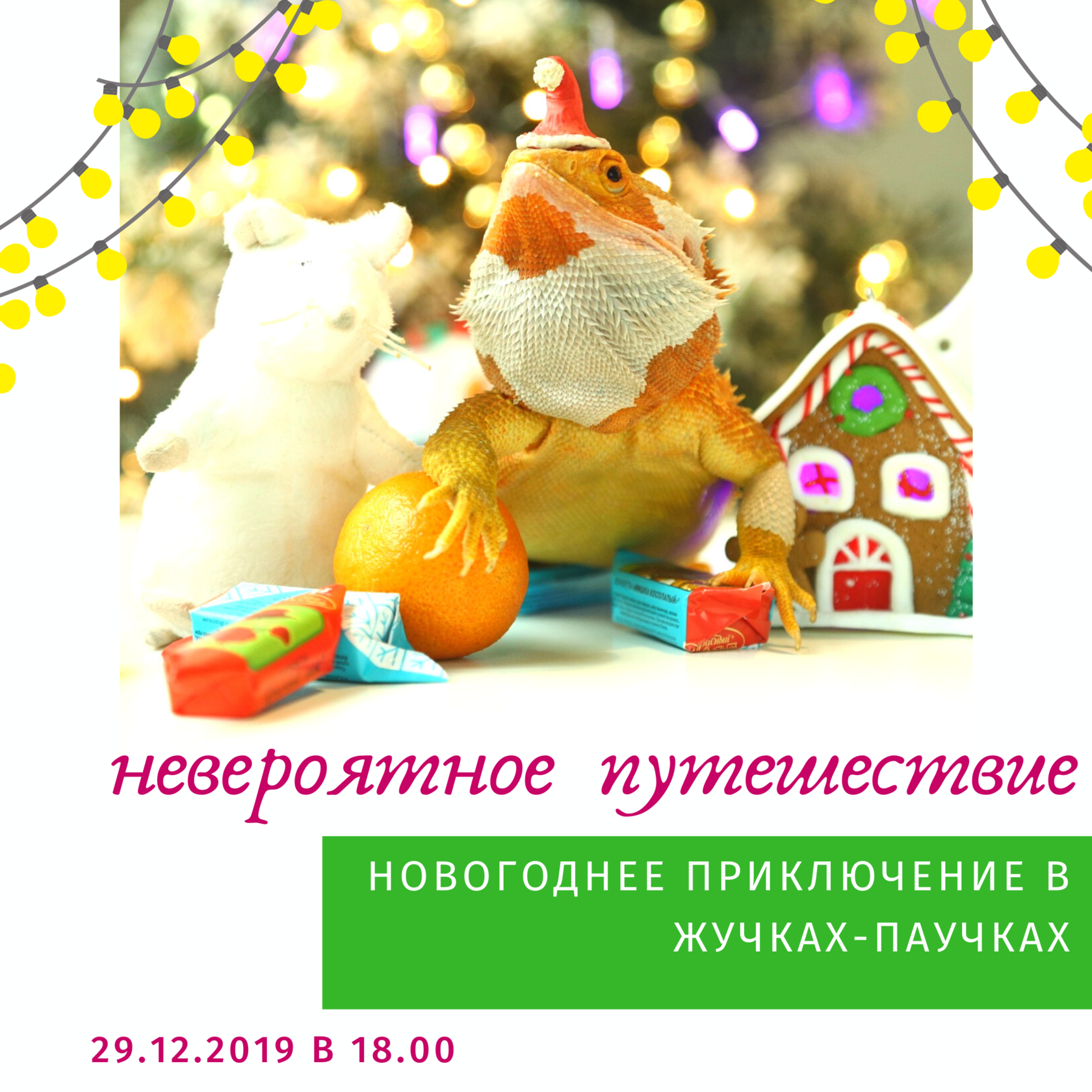 Новогодняя программа: "Невероятное путешествие из Москвы в Австралию"