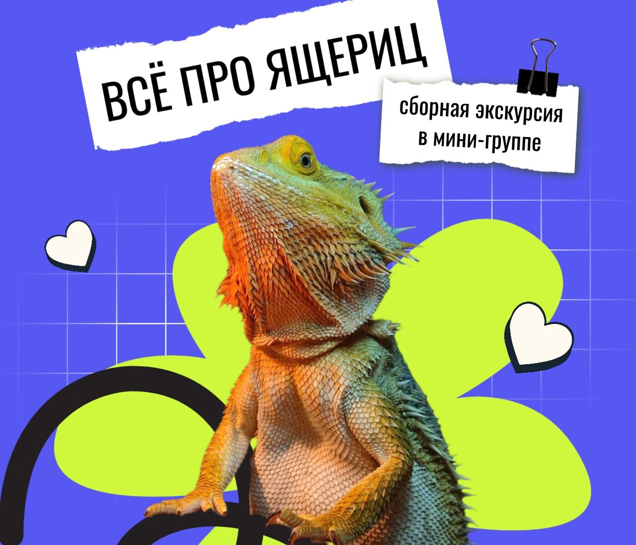 ЭКСКУРСИЯ В МИНИ-ГРУППЕ ВСЁ ПРО ЯЩЕРИЦ! 10+