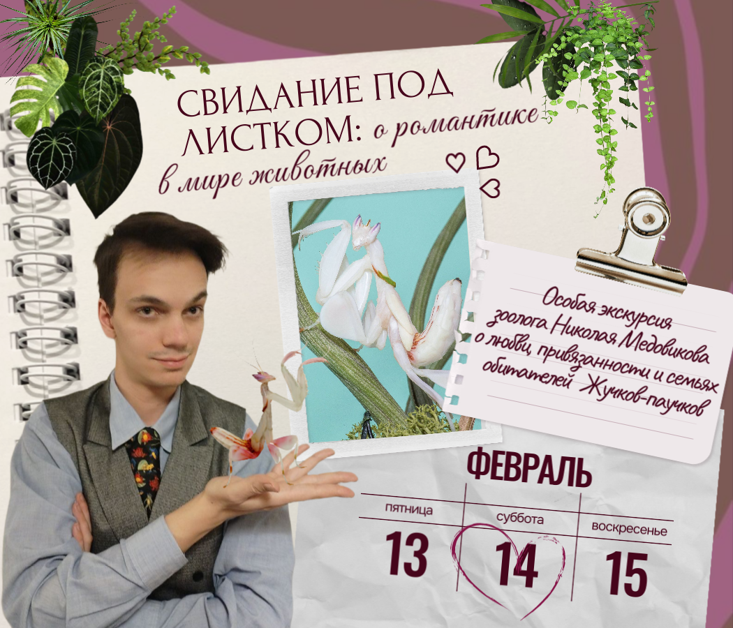 СВИДАНИЕ ПОД ЛИСТИКОМ: О РОМАНТИКЕ В МИРЕ ЖИВОТНЫХ