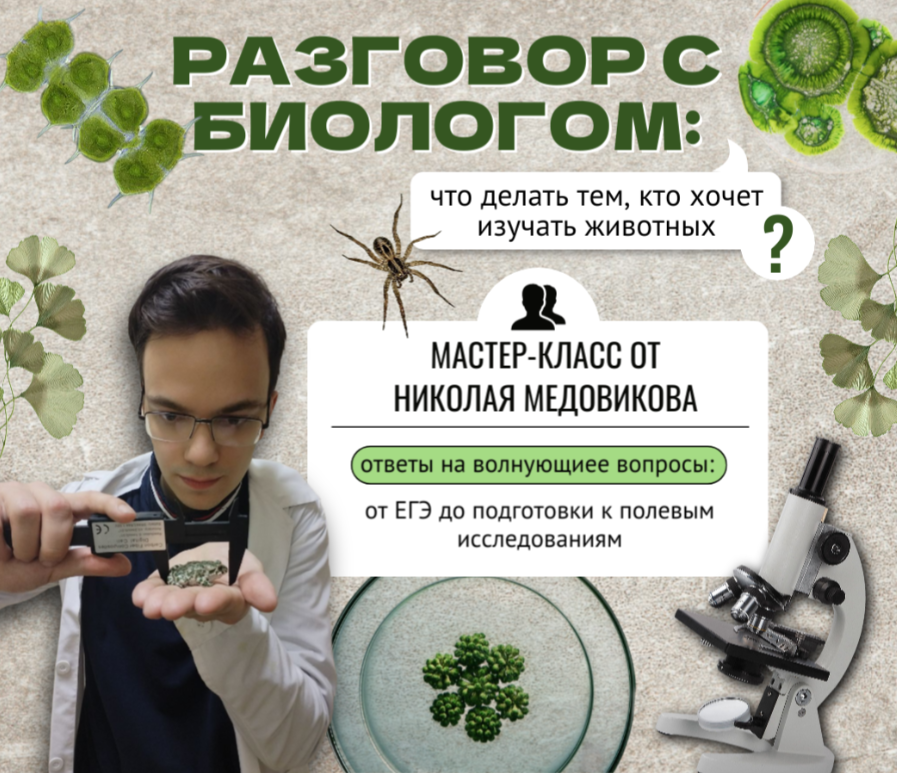 Разговор с биологом: что делать тем, кто хочет изучать животных?