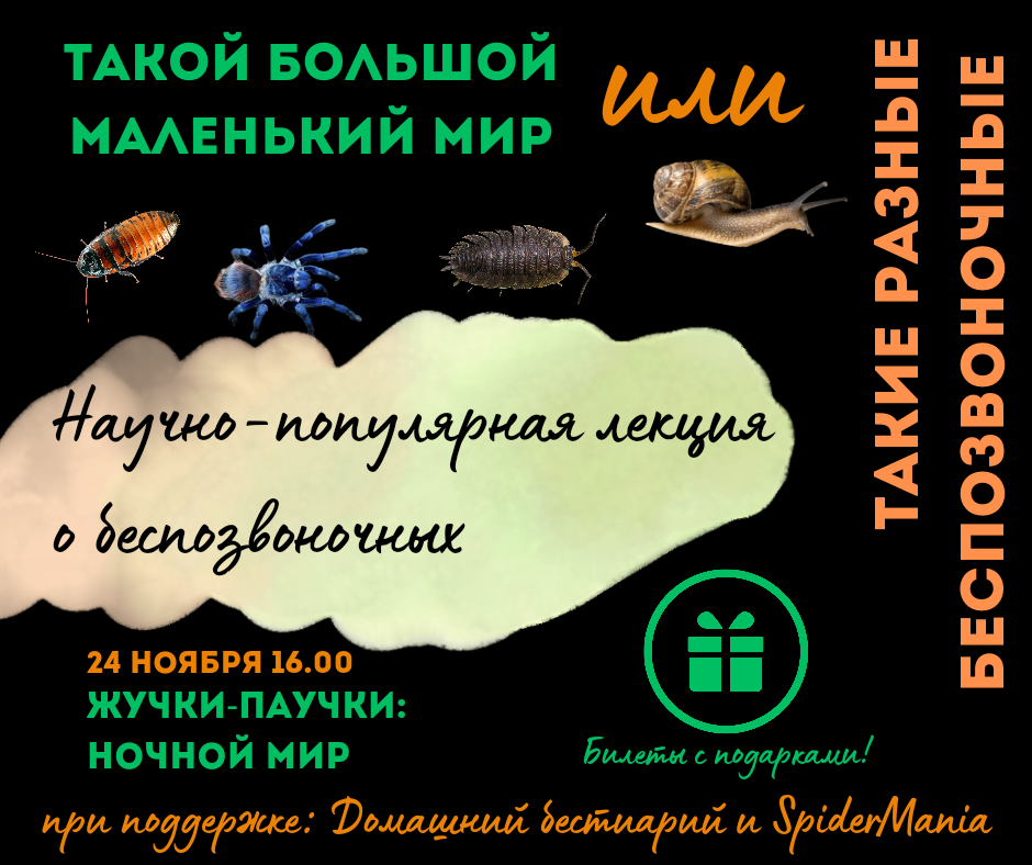 Такой большой маленький мир или такие разные беспозвоночные!