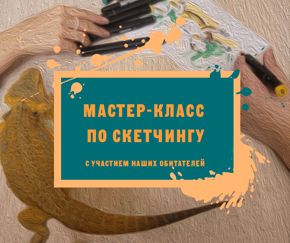 Рисуем рептилий - скетчинг для детей и взрослых