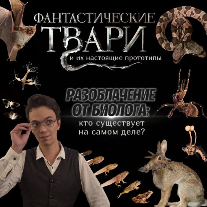 Фантастические твари.