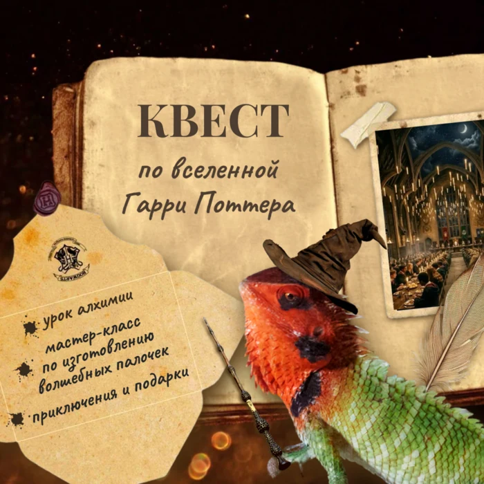 Слёт волшебникови волшебниц.